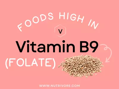 Foods High in Vitamin B9 (Folate)