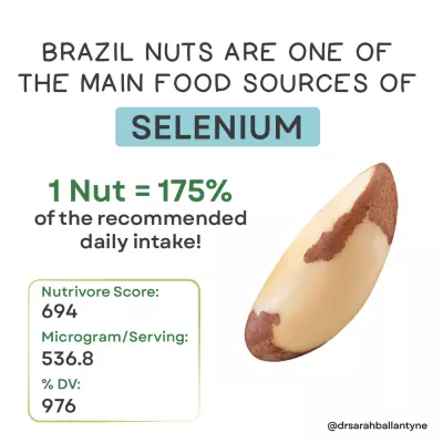 Best Food Source of Selenium Brazil Nuts