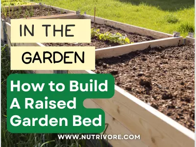 How to build a raised garden bed.