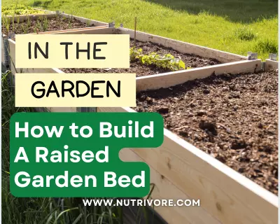 How to build a raised garden bed.