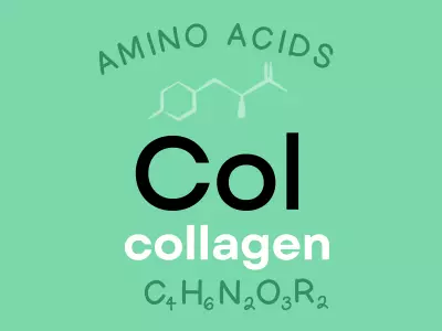 collagen