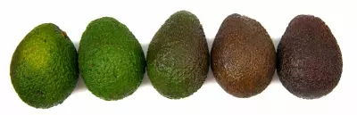 An image showing changes in avocado as it ripens.