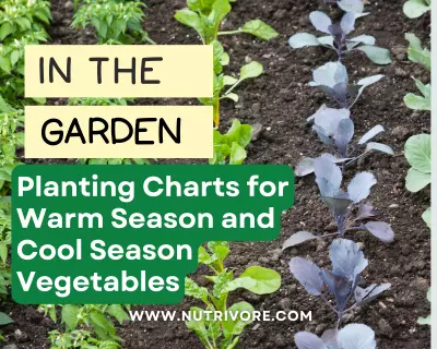 Planting Charts for Warm Season and Cool Season Vegetables