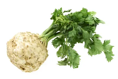 An image of celery root (celeriac).